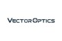 Vector Optics