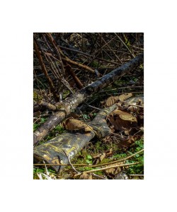 Камуфляжная лента многоразовая McNett ”Stretch” Realtree Max4 (19320)