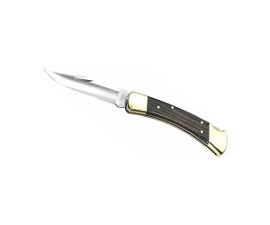 Нож складной Buck Folding Hunter B0110BRS