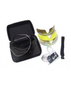 Очки защитные Daisy C2, 4 сменные линзы PC (TD-YL835)