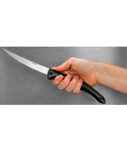 Нож складной Kershaw Folding Fishing Fillet K1258