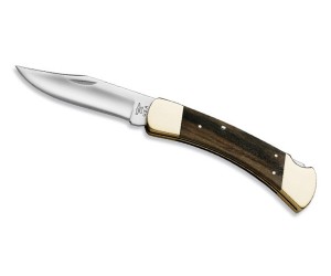 Нож складной Buck Magnolia Folding Hunter B0110EBS1