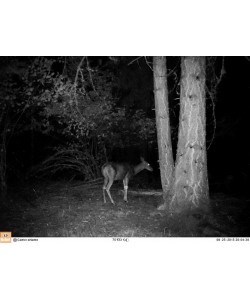 Камера Bushnell Trophy Cam HD Essential E3, 3,5-16 Мп (119837)