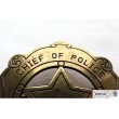 Значок шефа полиции (США) DE-110 - фото № 5