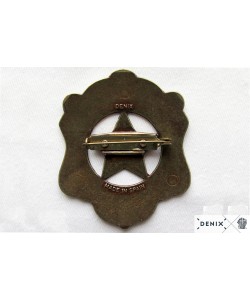 Значок шефа полиции (США) DE-110