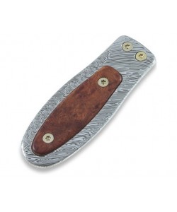 Держатель для денег LionSteel