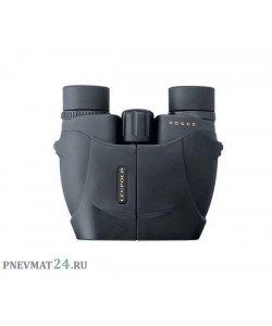 Бинокль Leupold BX-1 Rogue Compact 10x25 Porro Black (59225)