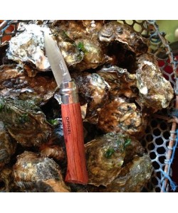 Нож складной Opinel Specialists for Foodies №09 для устриц, 6,5 см, нерж. сталь, рукоять падук