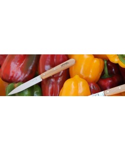 Набор кухонных ножей Opinel Les Essentiels №102 (2 шт.) 10 см, углерод. сталь, рукоять бук