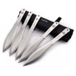 Набор метательных ножей «Баланс» карточные масти (M-131SM) 5 шт. - фото № 1
