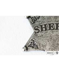 Значок звезда Шерифа шестиконечная (DE-101)