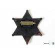 Значок звезда Шерифа шестиконечная (DE-101)