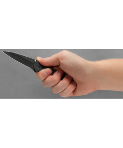 Нож полуавтоматический Kershaw Leek BlackWash K1660BLKW