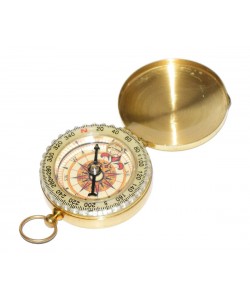 Компас ДС 007