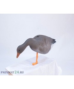 Гусь кормящийся (ППУ) серо-корич.