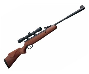 Пневматическая винтовка Stoeger X20 Wood Combo (прицел 3-9x40)