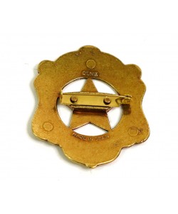 Значок шефа полиции (США) DE-110