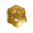 Значок шефа полиции (США) DE-110 - фото № 8