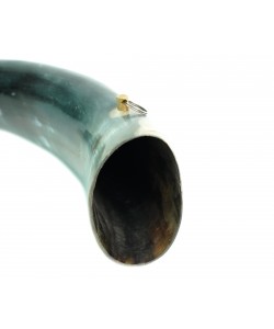 Горн охотничий (из натурального рога) 36 см