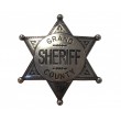 Значок окружного шерифа (шестиконечная звезда) никель (DE-113-NQ) - фото № 5