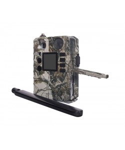 Фотоловушка Boly Guard BG310-M 18MP (4G/LTE)