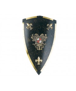 Щит рыцарский Карла V (AG-809)