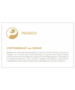 Электронный подарочный сертификат на сумму 3000р в Pnevmat 24