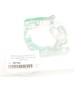 ЗИП #4 Ремкомплект из 2-х прокладок ГБЦ + клапанная пластина