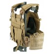 Разгрузочный жилет EmersonGear Quick Release 094K Style Plate Carrier (Coyote) - фото № 6