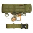 Разгрузочный пояс Remington Tactical MOLLE Belt Green - фото № 1