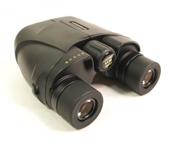 Leupold best sale bx1 rogue