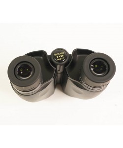 Бинокль Leupold BX-1 Rogue Compact 8x25 Porro Black (59220)