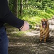 Ультразвуковой отпугиватель собак HOONT H973 - фото № 12