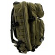 Рюкзак тактический Mil-Tec US Assault Small, 20 л (Ranger Green/Black) - фото № 3