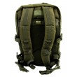Рюкзак тактический Mil-Tec US Assault Large, 36 л (Olive) - фото № 5