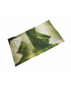 Бандана Jagermann Buff Горы, Green USM