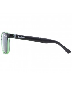 Очки Remington R-HMY2021 Black