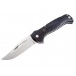 Нож складной Fox Knives Forest 9,5 см, сталь Sandvik 12С27, рукоять Микарта, Black - фото № 1