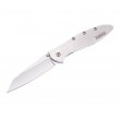 Нож складной Kershaw Random Leek 7,5 см, сталь 14C28N, Stainless Steel Gray - фото № 1