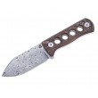 Нож QSP Knife Canary 6,3 см, сталь Damascus, рукоять Carbon Copper/Black - фото № 1