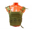 Разгрузочный жилет MOLLE Jump Plate Carrier TPG-01 (Green) - фото № 1