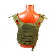 Разгрузочный жилет MOLLE Jump Plate Carrier TPG-01 (Green) - фото № 5