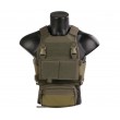 Разгрузочный жилет EmersonGear FCS Style Vest w/MK Chest Rig Set (Ranger Green) - фото № 1