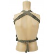 Тактический жилет EmersonGear MP7 Tactical Chest Rig (Foliage Green) - фото № 3