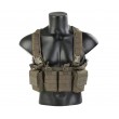 Разгрузочная система EmersonGear Easy Chest Rig (Ranger Green) - фото № 1