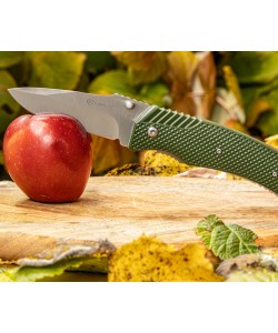 Нож складной Ganzo G618 Exclusive Edition, лезвие 80 мм (Green)