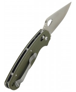 Нож складной Ganzo G729, лезвие 87 мм (Green)
