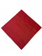 Красный платок опознавательный Pnevmat24