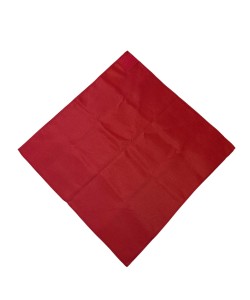 Красный платок опознавательный Pnevmat24