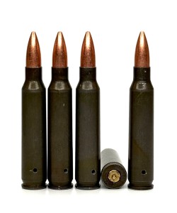 Патрон учебный  5,56х45 (223.REM NATO) 5 штук